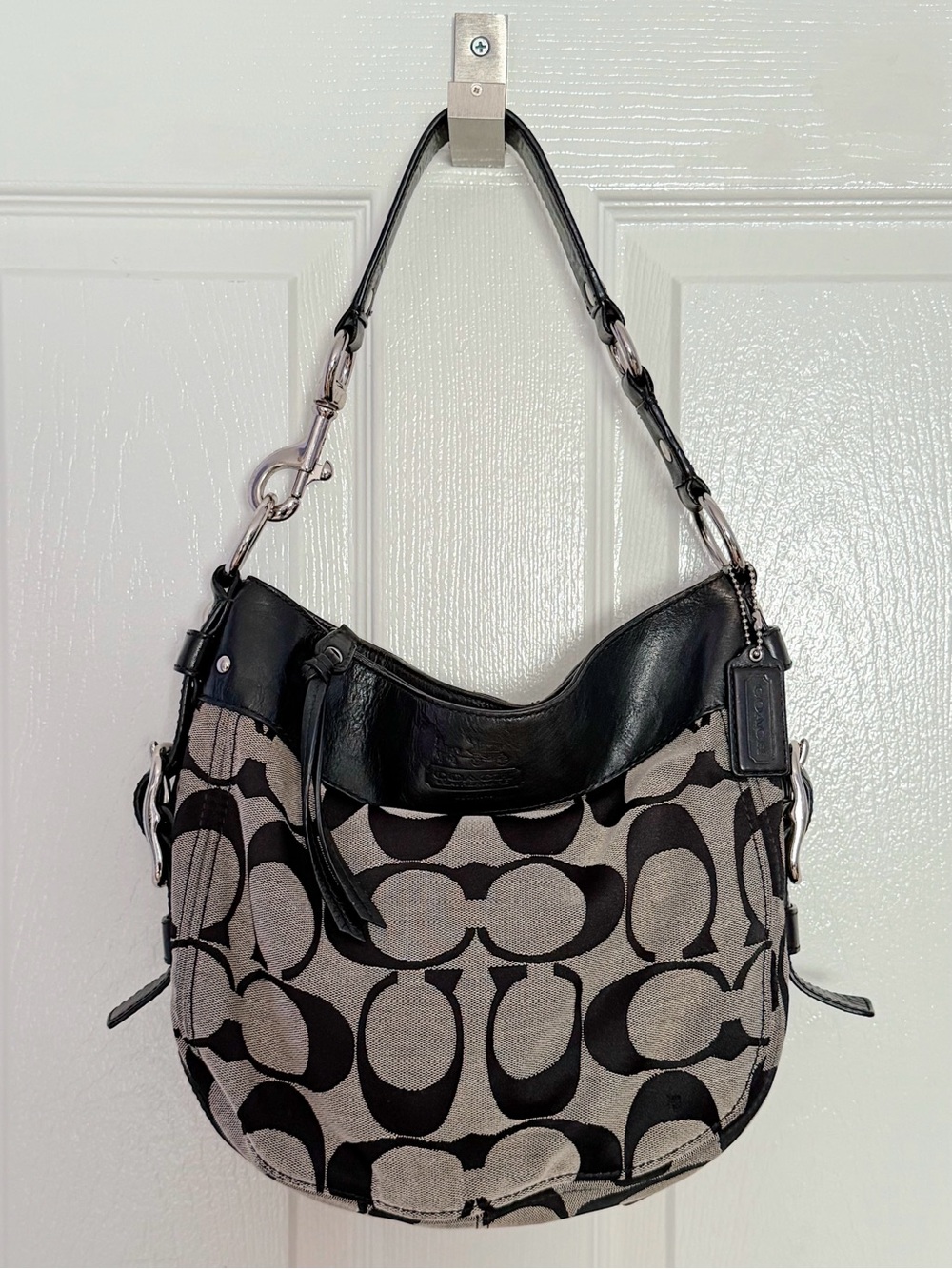 Medium Coach Zoe Hobo Bag